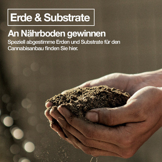 Erden & Substrate