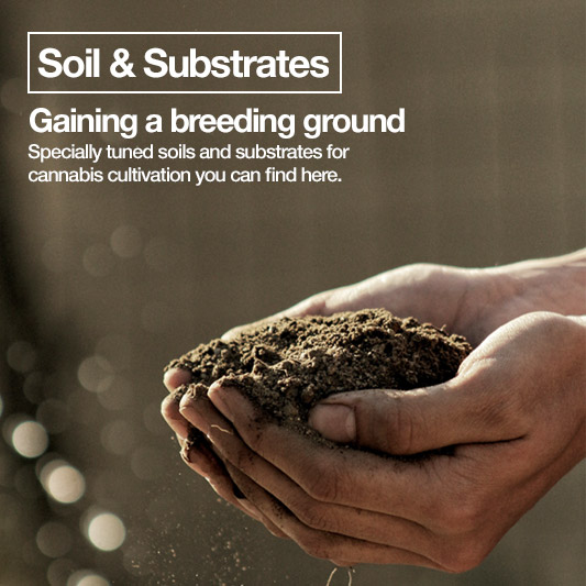 Soil & Substrates