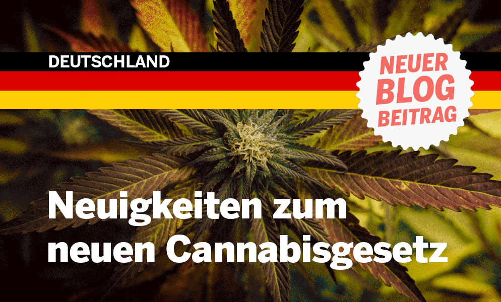 Das deutsche Cannabisgesetz