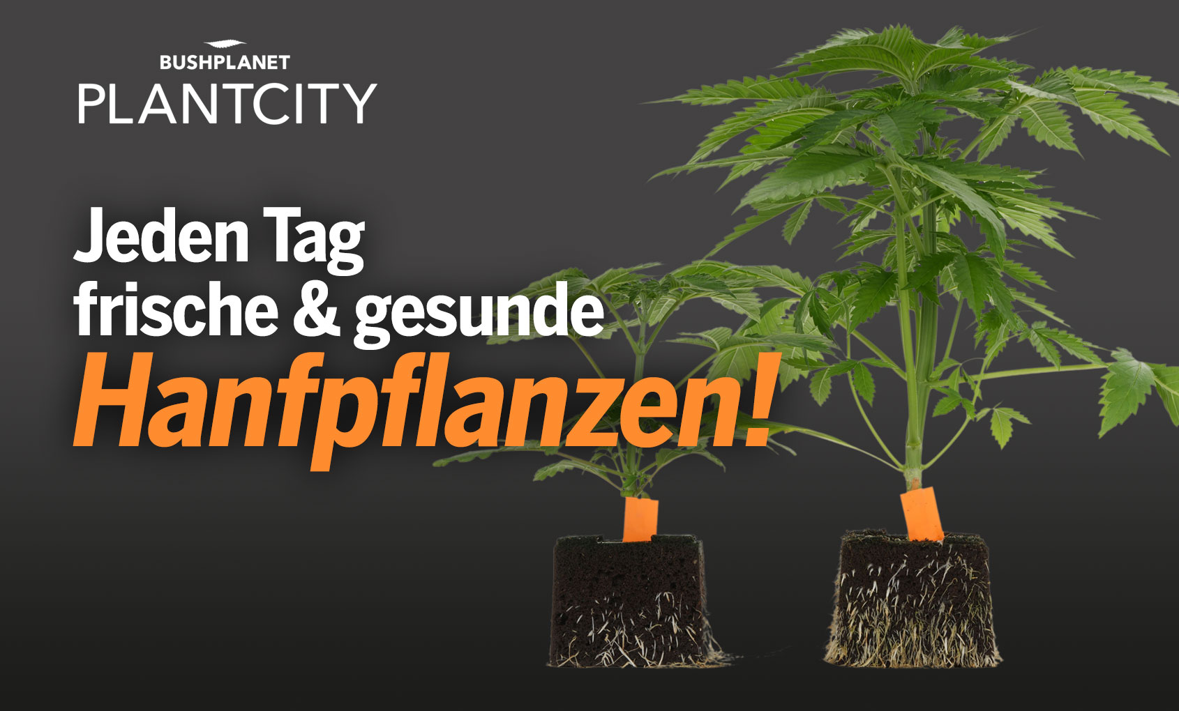 Plantcity