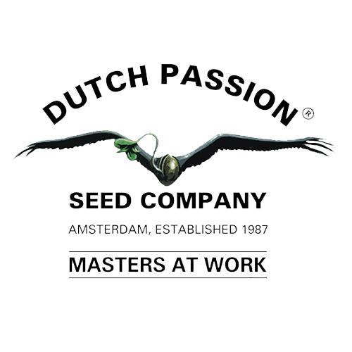 Original Cannabis Genetics from Dutch Passion