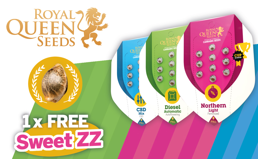Royal Queen Seeds jetzt bei uns erhältlich!
