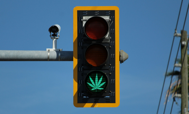 German cannabis law passed the Bundestag! FAQ - 