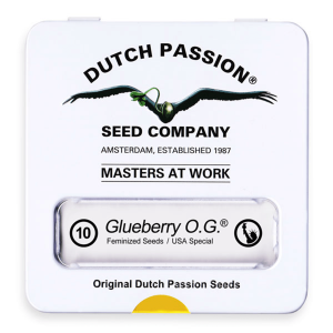 Dutch Passion Glueberry O.G. | Feminisiert | 10 Samen