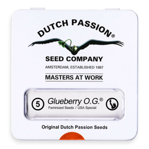 Dutch Passion Glueberry O.G. | Fem | 5er - vorraussichtl....