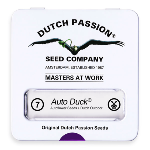 Dutch Passion Auto Duck | Automatic | 7 seeds
