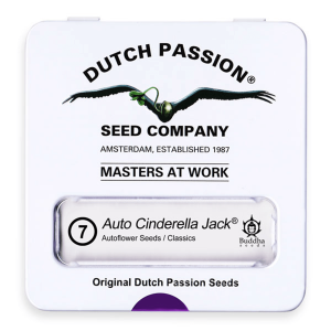 Dutch Passion Auto Cinderella Jack | Automatic | 7 seeds