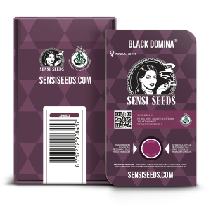 Sensi Seeds Black Domina | Feminisiert | 10 Samen