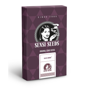 Sensi Seeds Black Domina | Feminisiert | 5 Samen