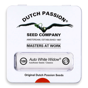 Dutch Passion Auto White Widow | Auto | 100er