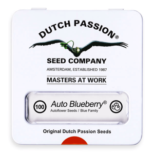 Dutch Passion Auto Blueberry | Auto | 100er