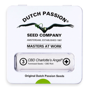 Dutch Passion CBD Charlottes Angel | Feminized | 3 seeds