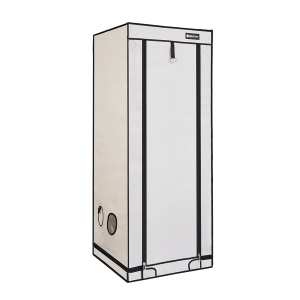Homebox Ambient | Q60 Plus | 60 x 60 x 160cm