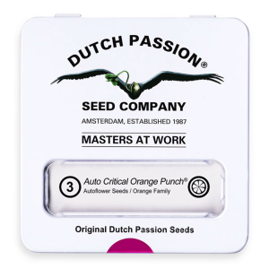 Dutch Passion Auto Critical Orange Punch | Auto | 3er