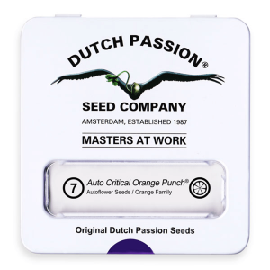 Dutch Passion Auto Critical Orange Punch | Auto | 7er