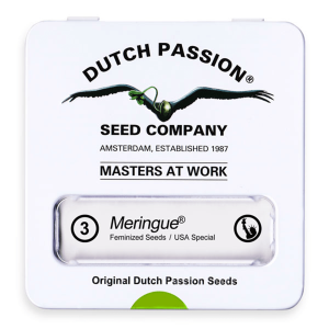 Dutch Passion Meringue | Fem | 3er