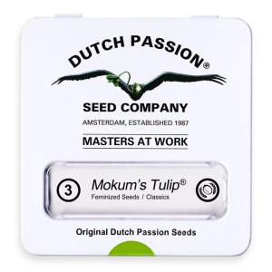 Dutch Passion Mokum´s Tulip | Fem | 3er