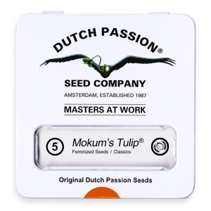 Dutch Passion Mokum´s Tulip | Fem | 5er