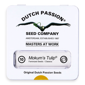 Dutch Passion Mokum´s Tulip | Fem | 10er