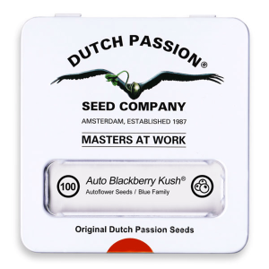 Dutch Passion Auto Blackberry Kush | Auto | 100er
