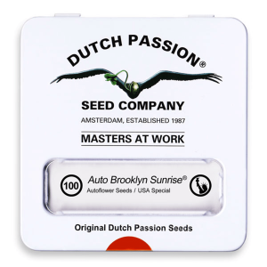 Dutch Passion Auto Brooklyn Sunrise | Automatik | 100 Samen - auf Bestellung
