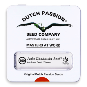 Dutch Passion Auto Cinderella Jack | Automatic | 100 seeds - on order