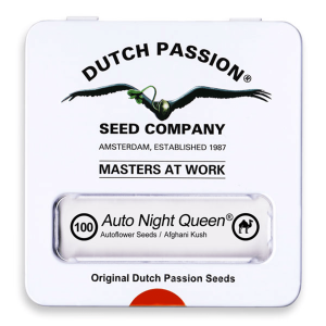 Dutch Passion Auto Night Queen | Auto | 100er