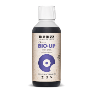 BioBizz pH+ | 250ml