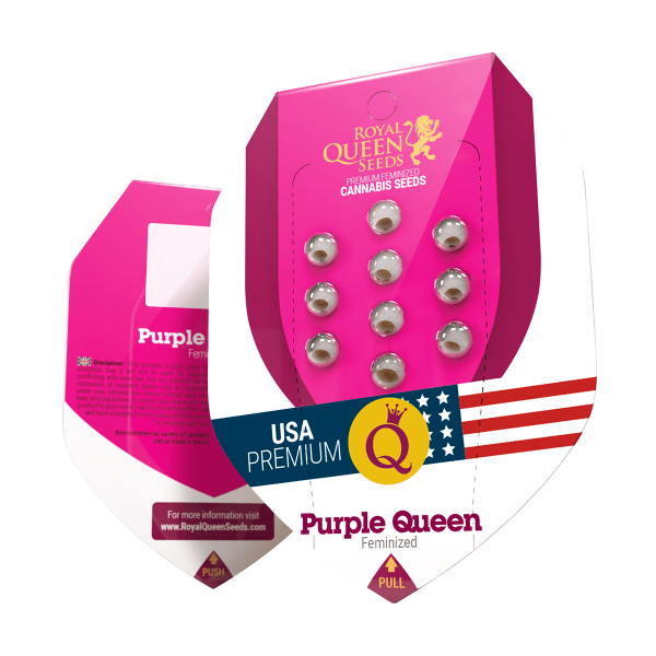 Royal Queen Purple Queen | Fem | 10er