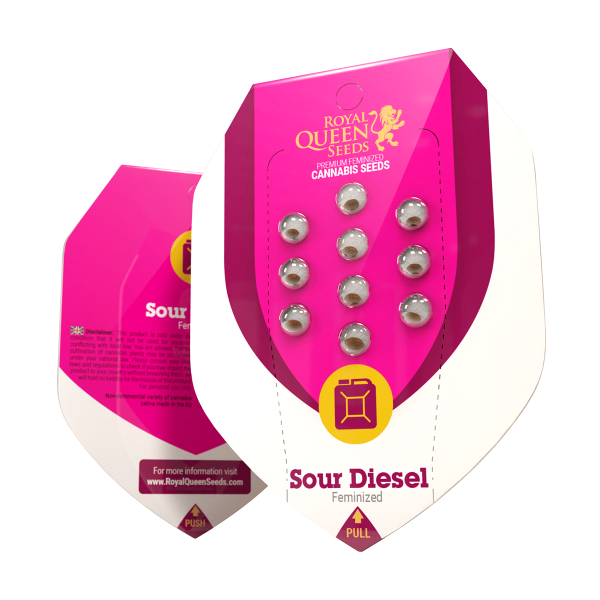 Royal Queen Sour Diesel | Fem | 3er