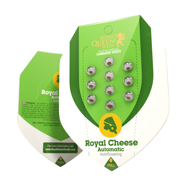 Royal Queen Royal Cheese | Auto | 10er