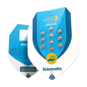 Royal Queen Solomatic CBD | Automatic | 5 seeds