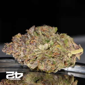 Fast Buds Smoothie | Automatik | 10 Samen