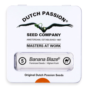 Dutch Passion Banana Blaze | Fem | 5er