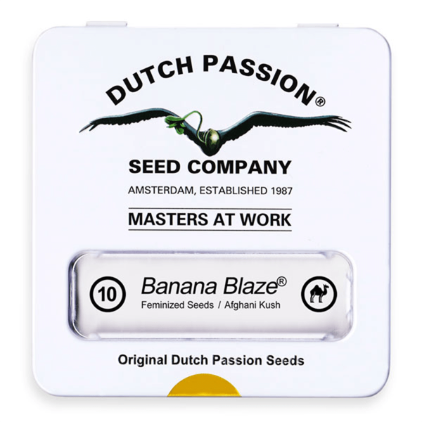 Dutch Passion Banana Blaze | Fem | 10er