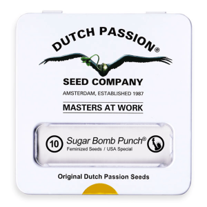 Dutch Passion Sugar Bomb Punch | Fem | 10er