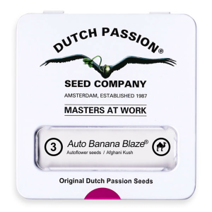 Dutch Passion Auto Banana Blaze | Automatik | 3 Samen