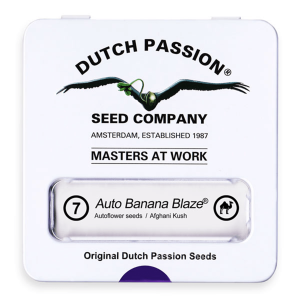 Dutch Passion Auto Banana Blaze | Auto | 7er