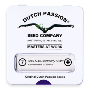 Dutch Passion Auto CBD Blackberry Kush | Auto | 7er
