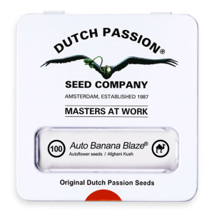 Dutch Passion Auto Banana Blaze | Auto | 100er