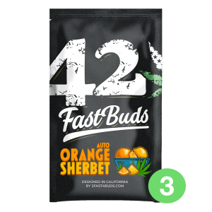 Fast Buds Orange Sherbet | Auto | 3er