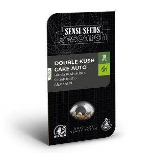 Sensi Seeds Mandarin Punch | Automatic | 3 seeds