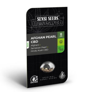 Sensi Seeds Afghan Pearl CBD | Automatic | 3 seeds