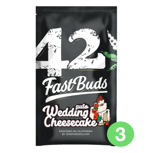 Fast Buds Wedding Cheesecake | Auto | 3er