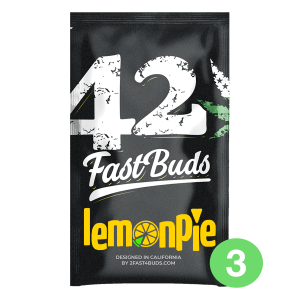 Fast Buds Lemon Pie | Auto | 3er