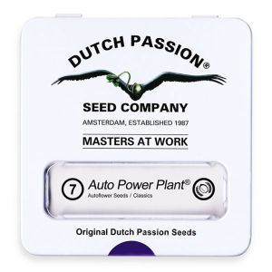 Dutch Passion Auto Power Plant | Automatic | 7 seeds