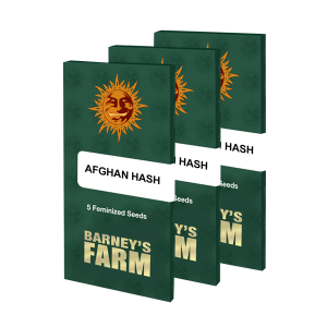 Barneys Farm Afghan Hash Plant | Regulär | 10 Samen