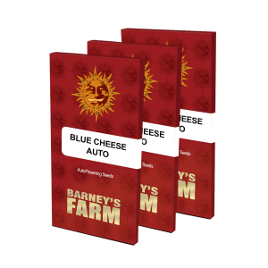 Barneys Farm Blue Cheese | Automatic | 3 seeds