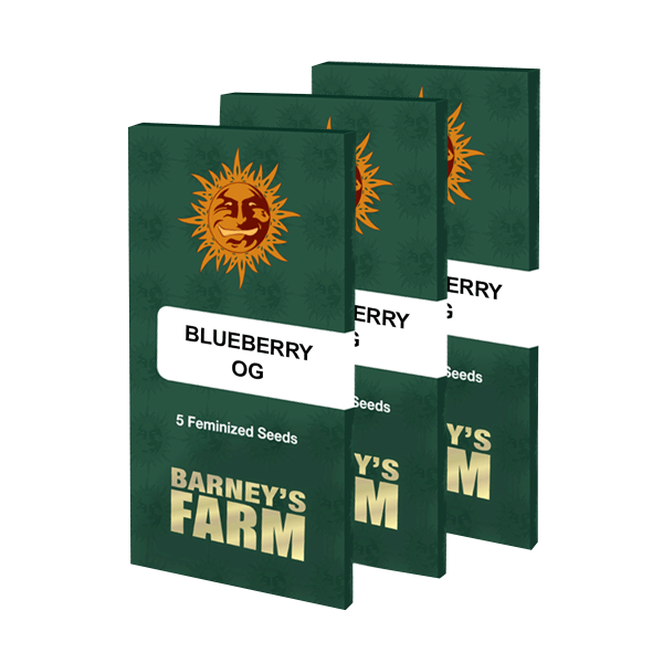 Barneys Farm Blueberry OG | Fem | 3er
