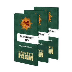 Barneys Farm Blueberry OG | Feminisiert | 5 Samen